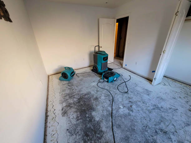 Best Flood restoration services  in Eustace, TX