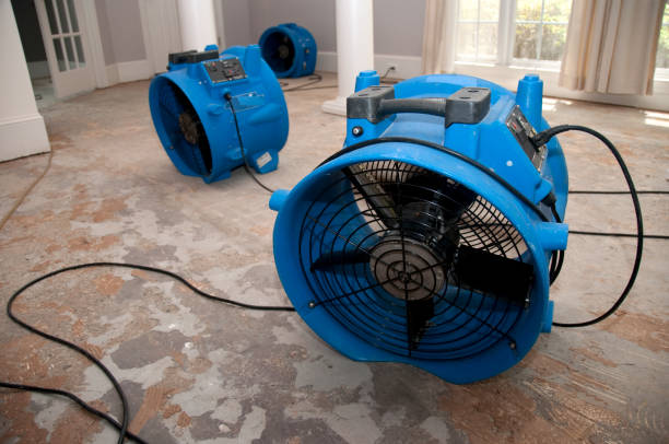 Best Commercial water damage restoration  in Eustace, TX