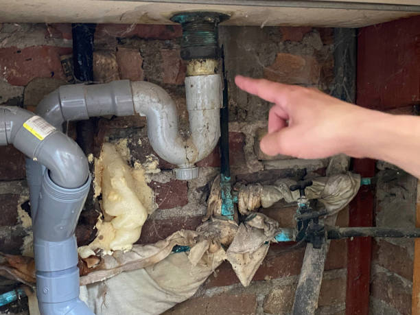 Best Water damage cleanup near me  in Eustace, TX